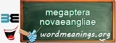 WordMeaning blackboard for megaptera novaeangliae